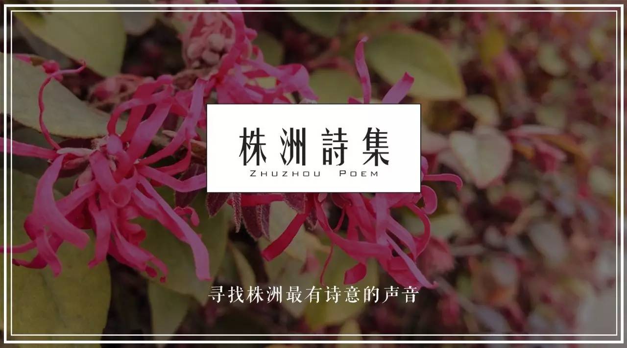 绚丽怎么读，绚丽怎么读音