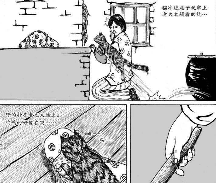 哈尔滨猫脸老太太，哈尔滨猫脸老太太事件真相大揭秘
