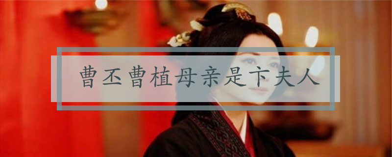 卞皇后，卞皇后的丈夫