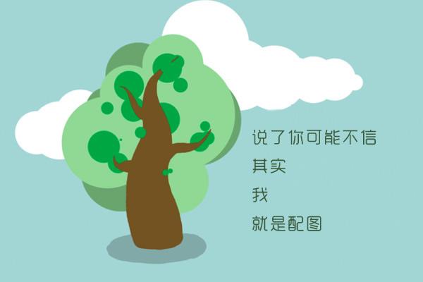 李小冉老公是谁，李小冉前老公是谁