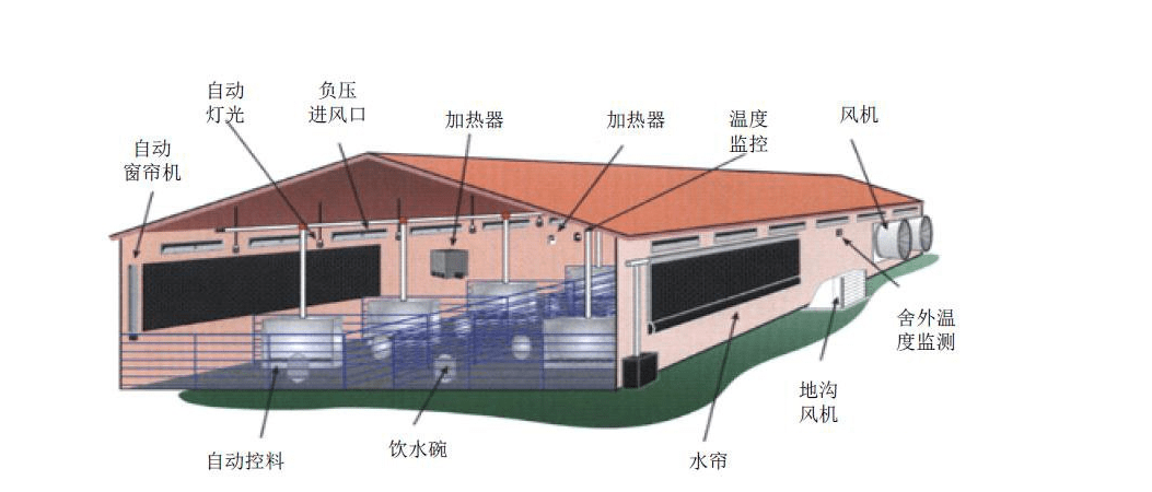 小型猪场猪舍建设，小型猪场猪舍建设图片
