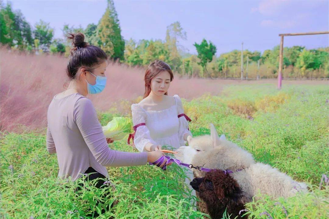 村美小站，村美小站条形码生成器下载