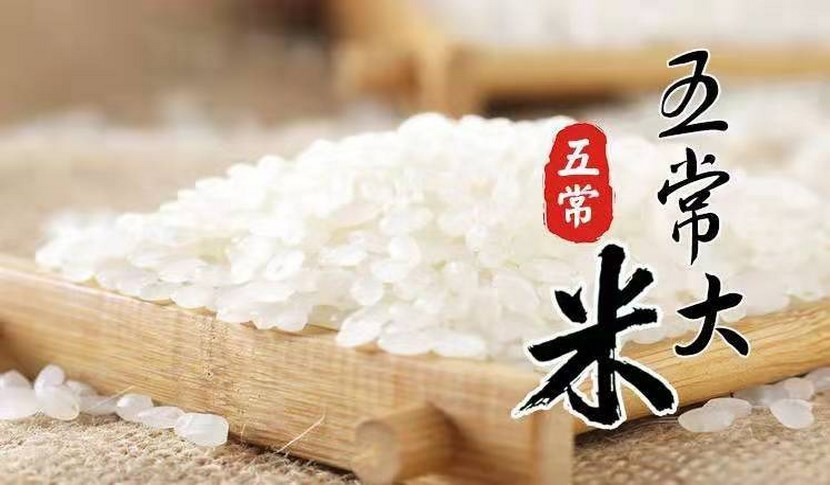 大米图片，大米图片高清图片