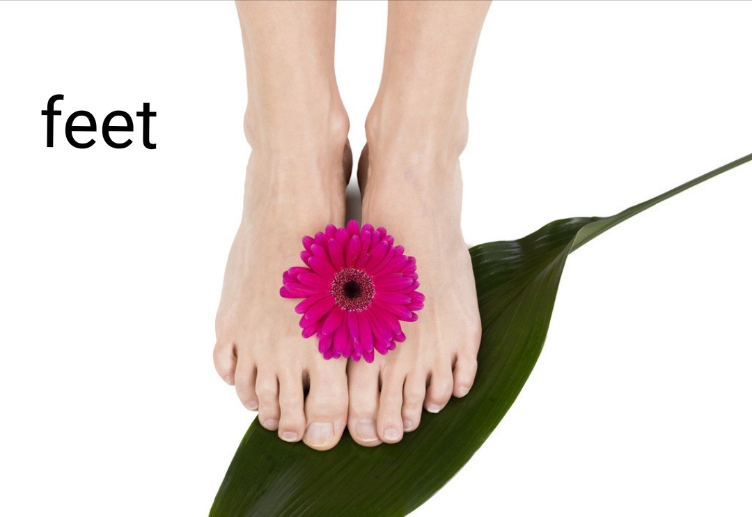 feet，feet等于多少厘米