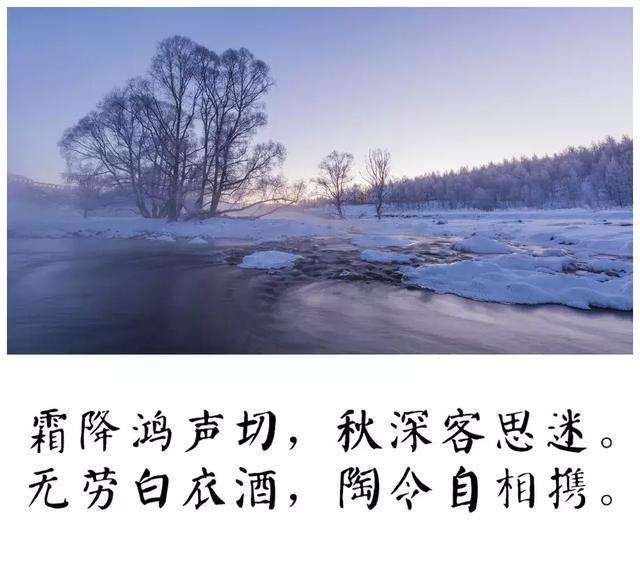 霜降的诗句古诗，霜降的诗句古诗有哪些关于描写霜降节气的诗词大全汇总