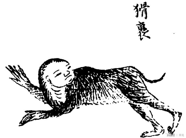 冬蛰，冬蛰的虫蛹转动于地下