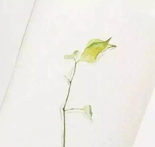 人心叵测啥意思，人心叵测怎么理解