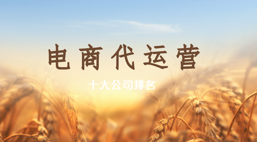 深圳电商公司排行榜，深圳电商公司排行榜最新