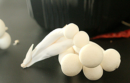 白玉菇，白玉菇不焯水有毒吗
