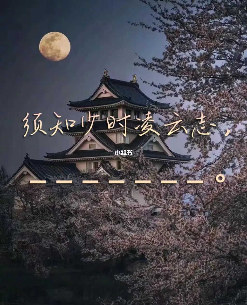 凌云志的诗句，凌云志的诗句不丈夫