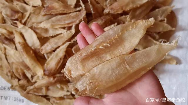 花胶多少钱一斤，真正的花胶多少钱一斤