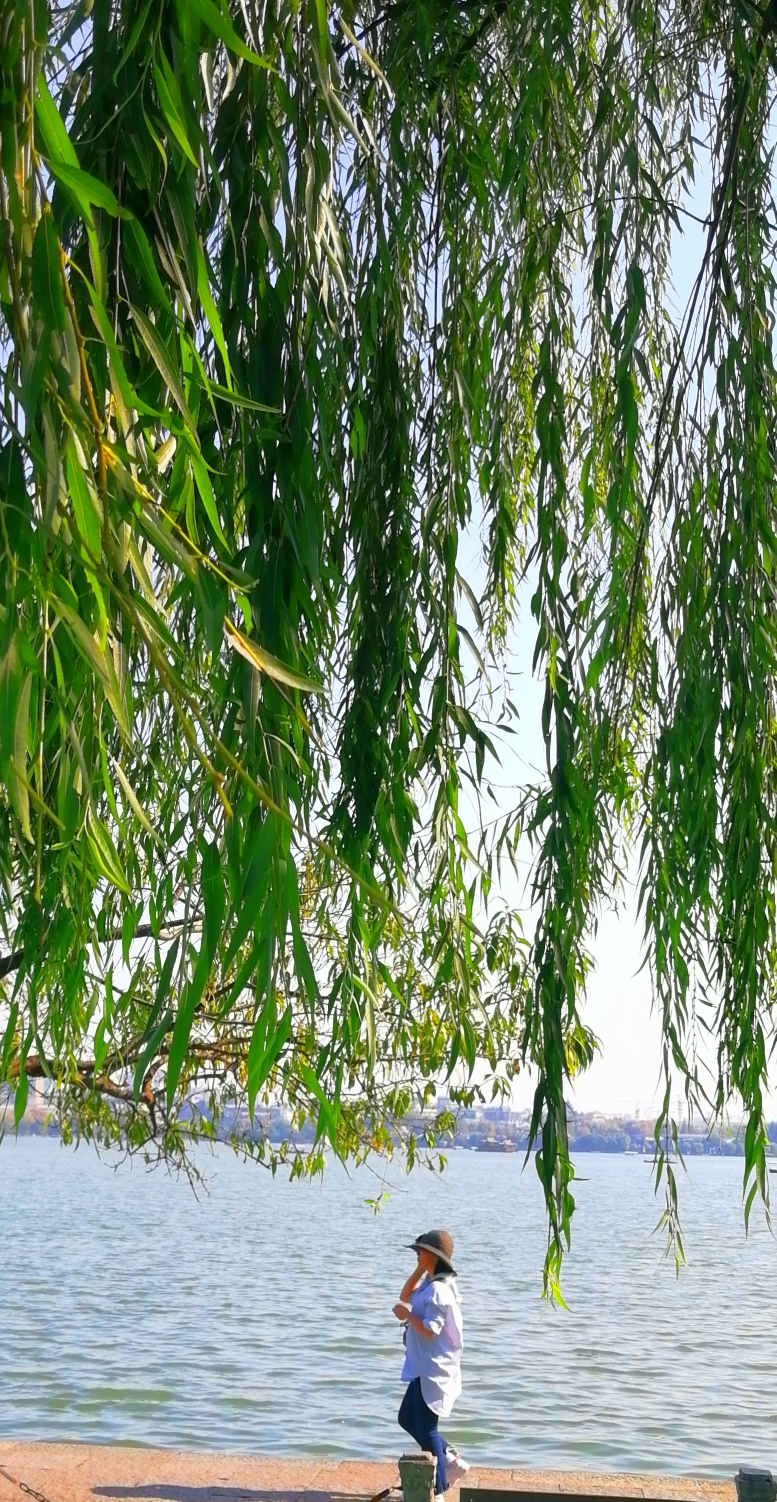 惠州西子湖畔首页，惠州市惠城区西子湖畔