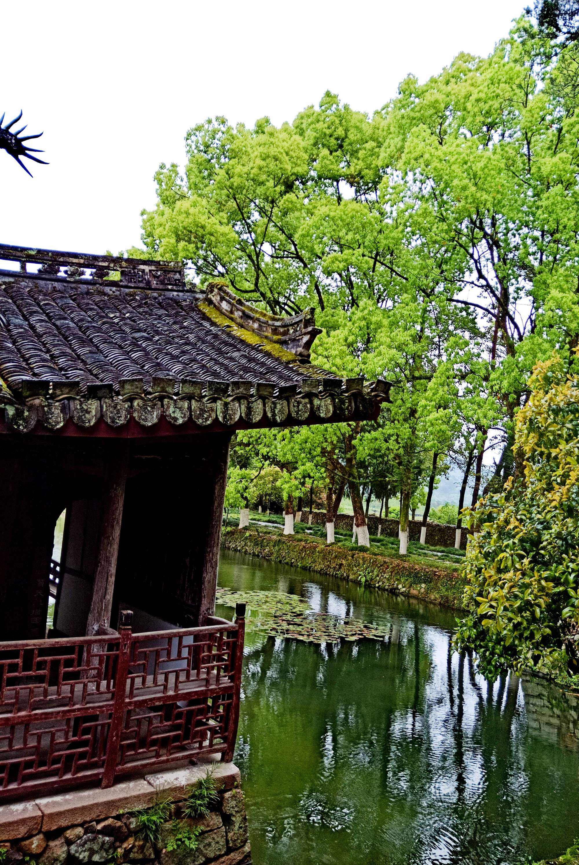 河上逢落花，河上逢落花翻译
