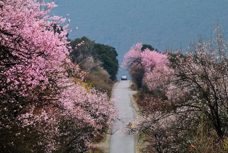春天的特色，介绍春夏秋冬四季特征