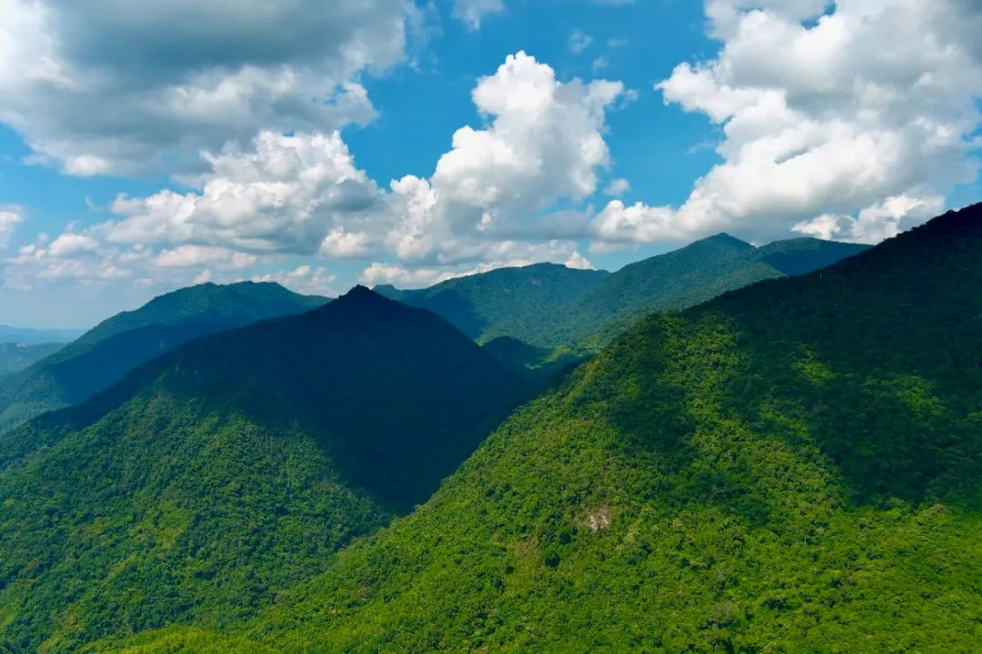五指山在哪个省，太行五指山风景区在哪里