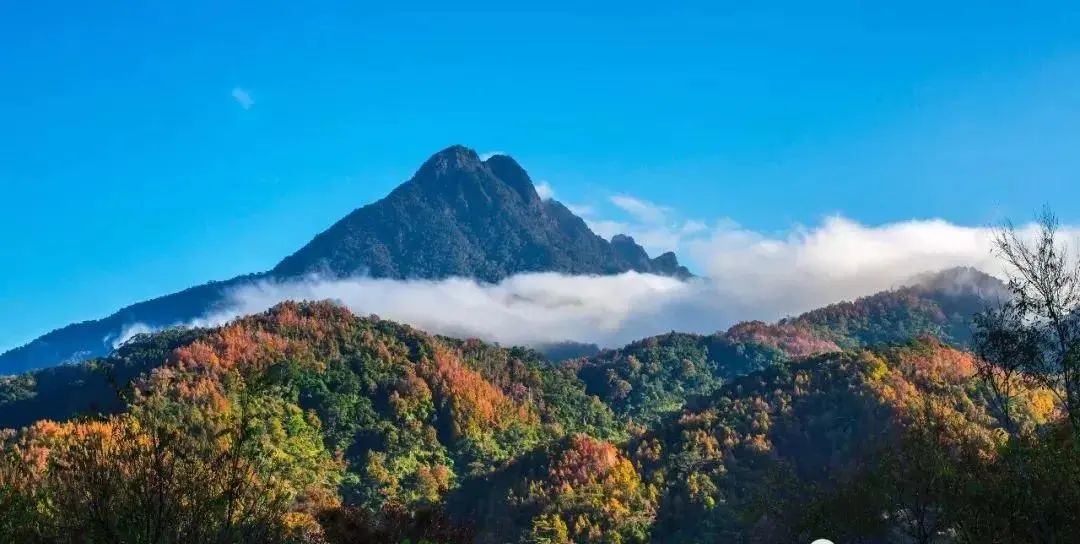 五指山在哪个省，太行五指山风景区在哪里
