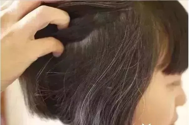 两鬓白发，两鬓白发尝尽人间疾苦的下一句下联
