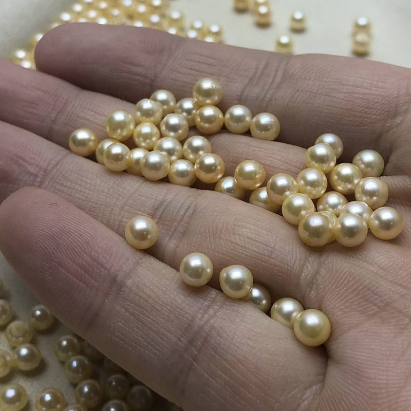 羽皇金珍珠是什么，羽皇金珍珠和金珠啥区别