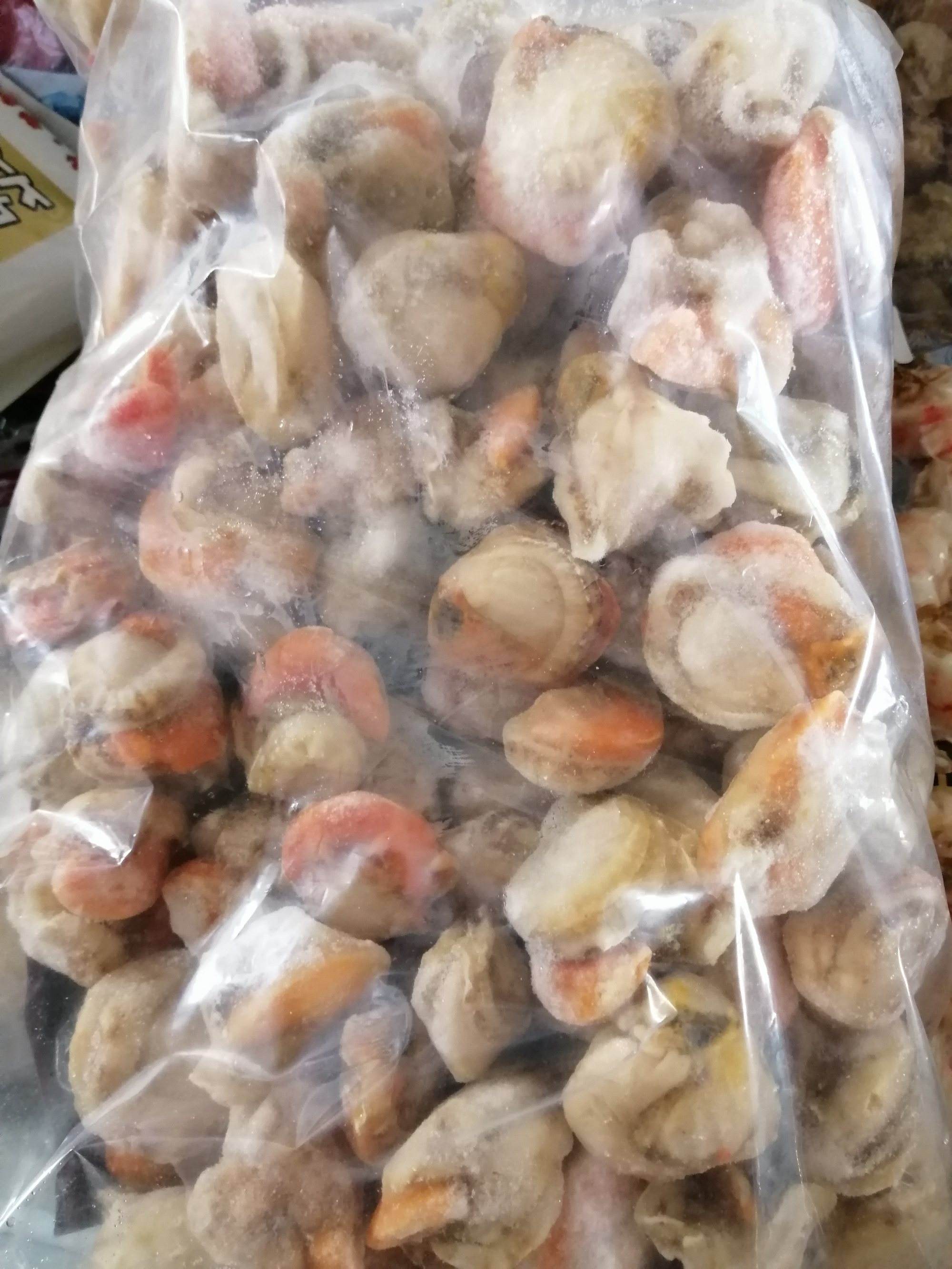 关于扇贝多少钱一斤的信息
