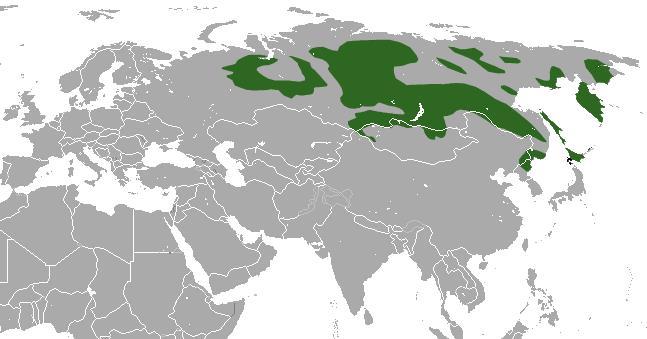 亚洲版图，亚洲地区地图