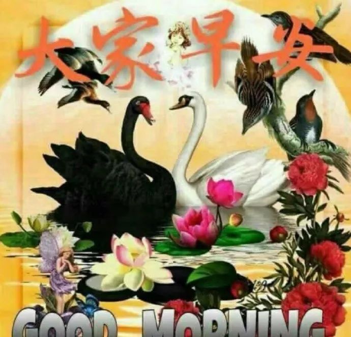 祝好是什么意思，祝好是什么意思?