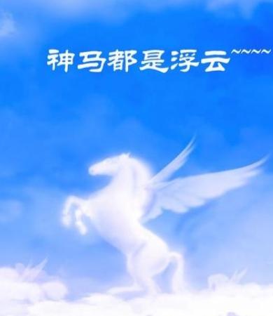 神马是什么，神马什么意思是什么