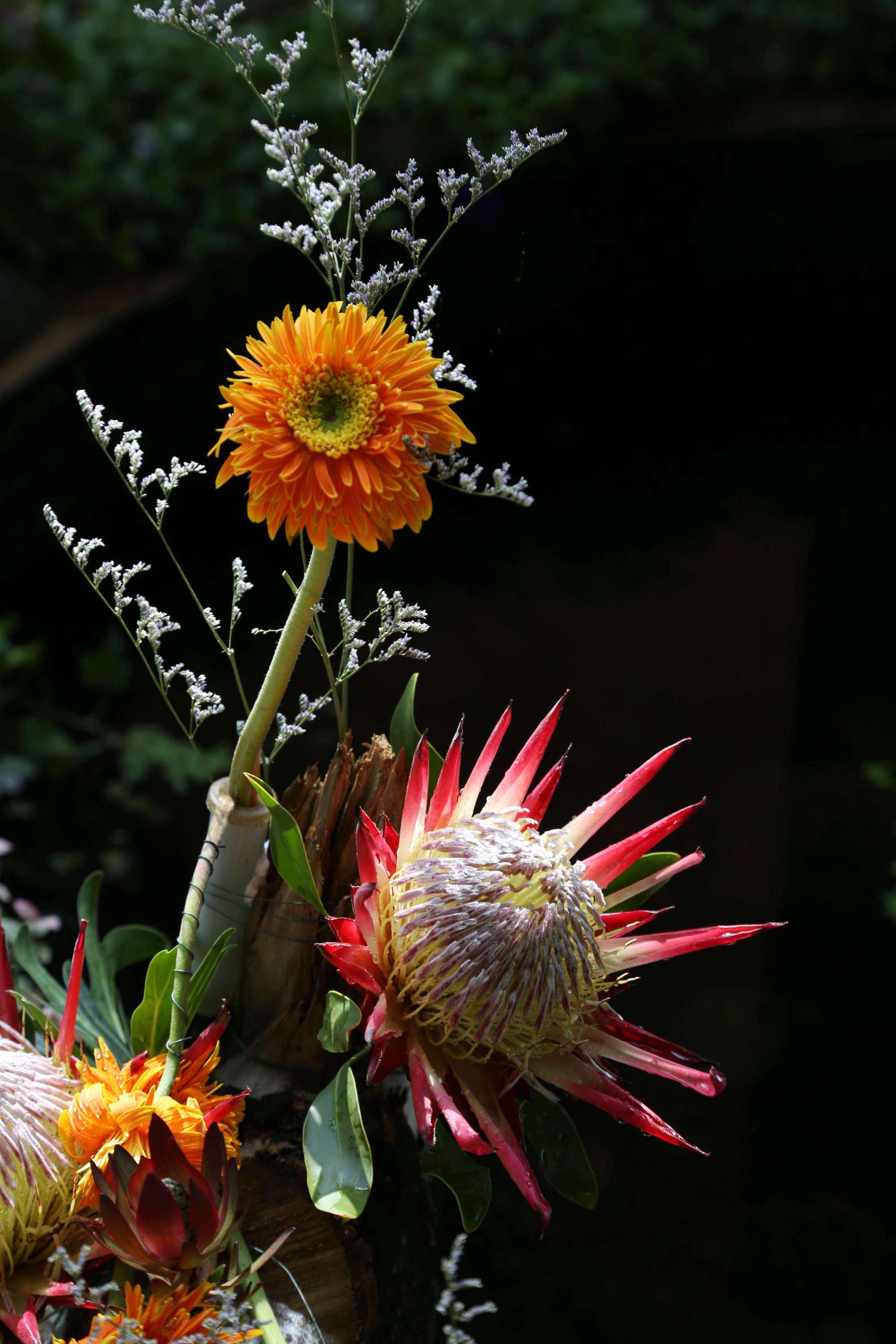 广州花，广州花城广场