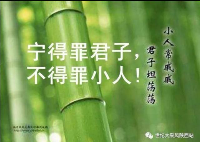 心有戚戚焉，心有戚戚焉,然心戚戚矣
