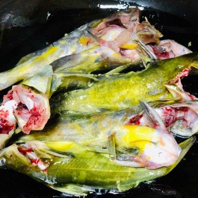 黄辣丁鱼怎么做好吃，黄辣丁熬鱼汤怎么做好喝又有营养