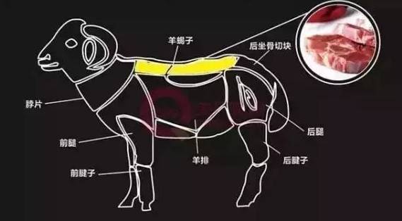 羊蝎子是什么东西，羊蝎子是什么地方的肉