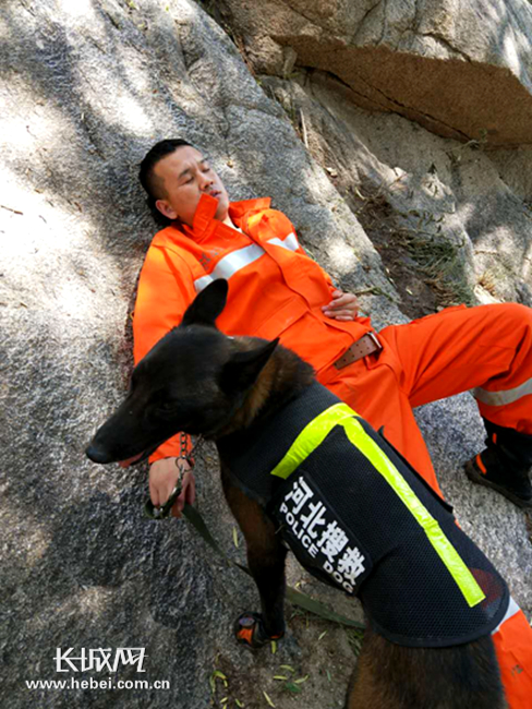 救援犬，救援犬可以坐飞机吗
