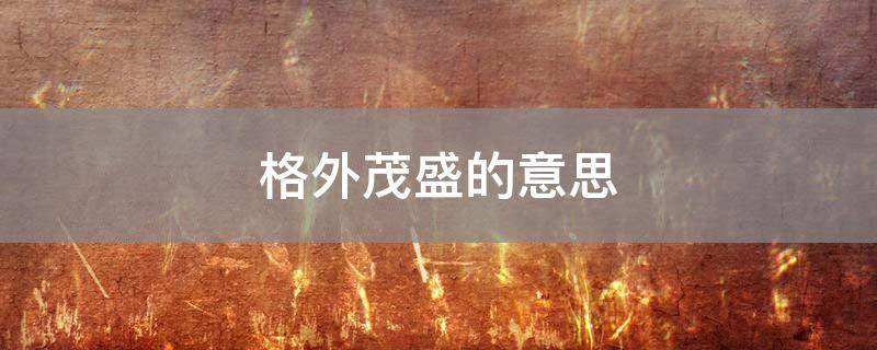 格外的意思，格外的意思写句子