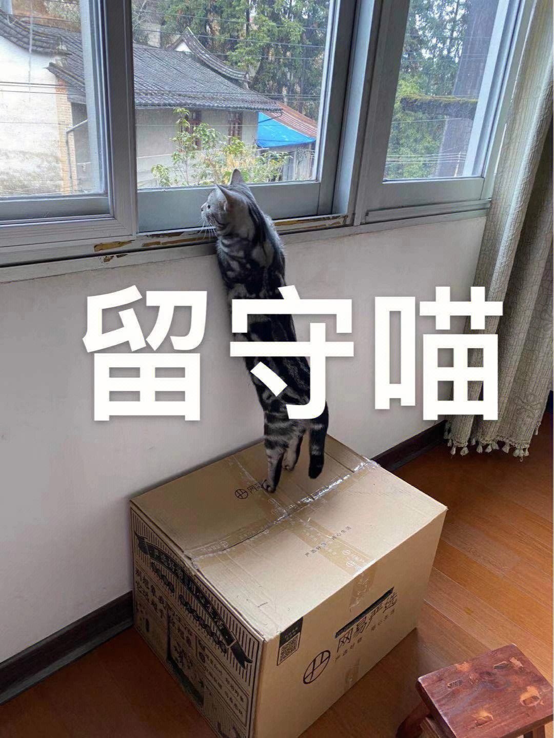 别让等待成为遗憾，别让等待成为遗憾表情包