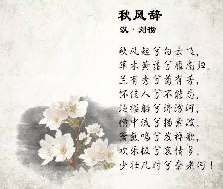 带有绿的诗句，带有绿的诗句古诗大全