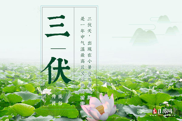 数伏，数伏是什么意思