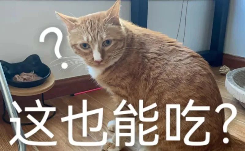 饿死痛苦吗的简单介绍
