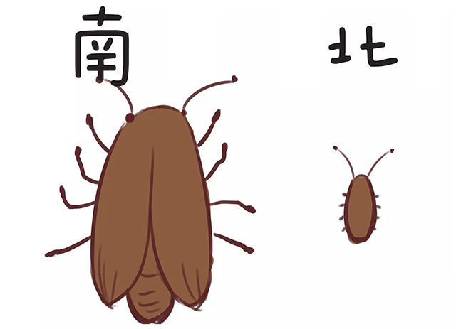 蠊怎么读，孓孑孓孒怎么读