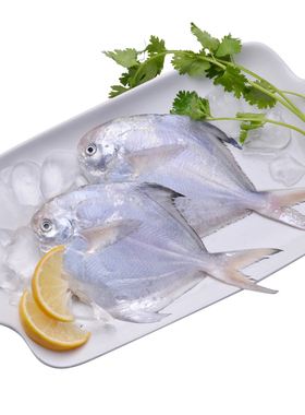 白鲳，白鲳鱼的做法大全
