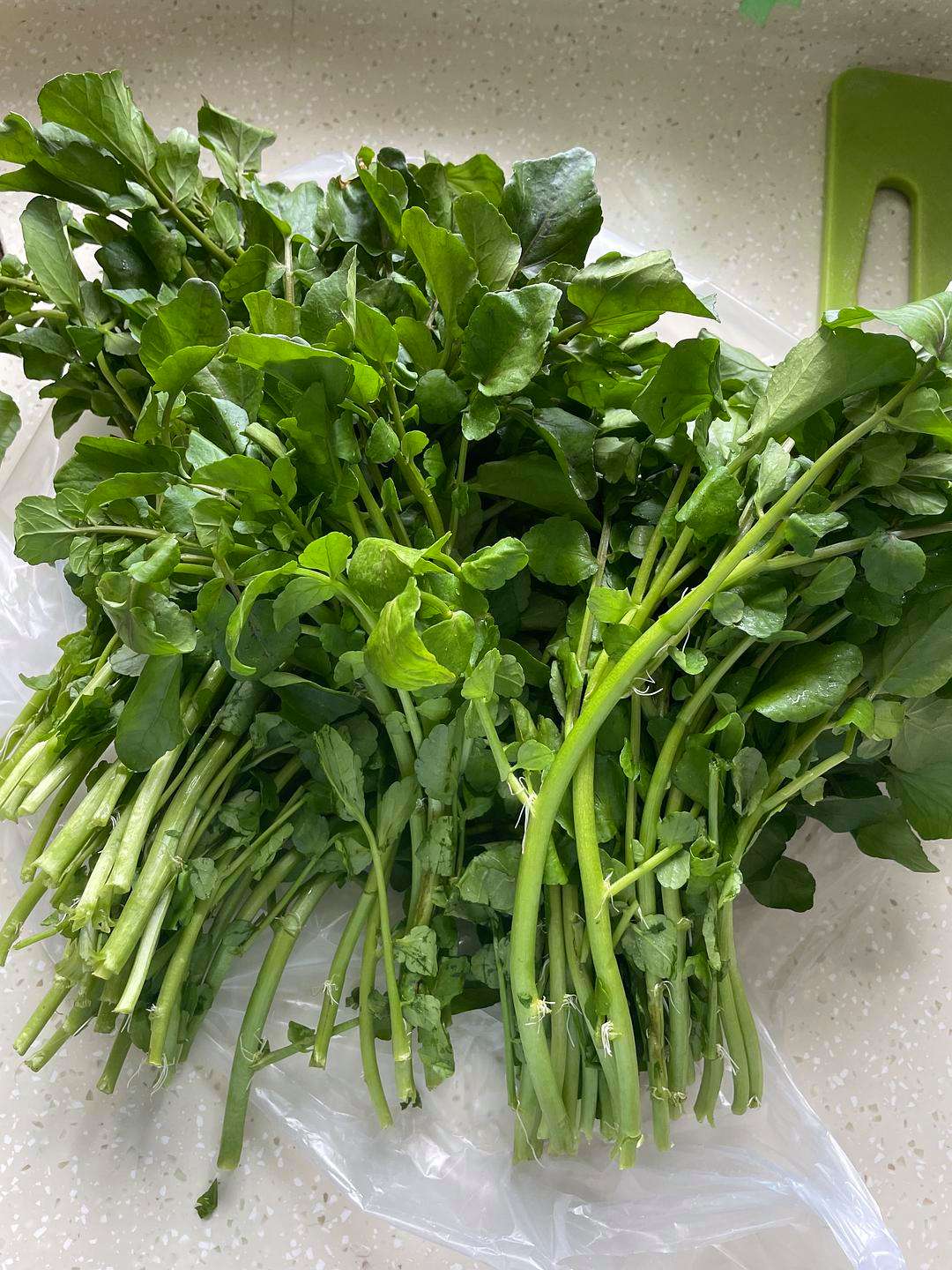 西洋菜图片，蔬菜图片大全