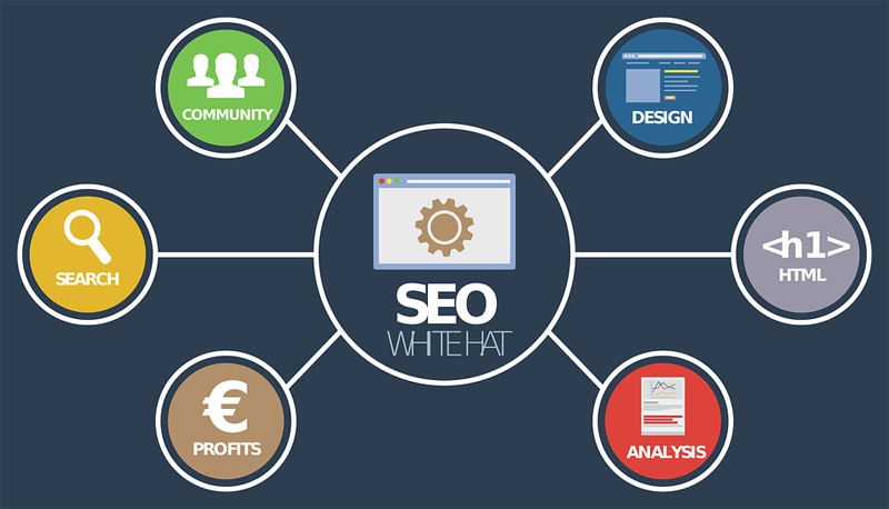 seo查询，seo查询 站长工具