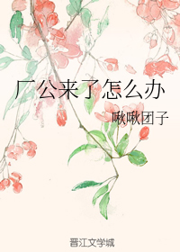 啾啾怎么读，天阴雨湿声啾啾怎么读