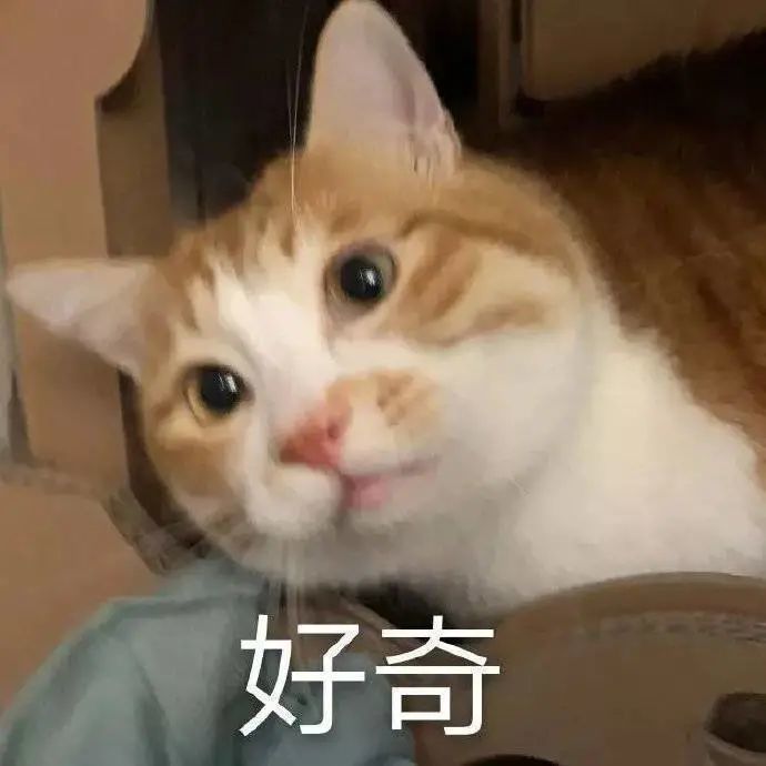 想屁吃什么意思，想屁吃呢 这个什么意思