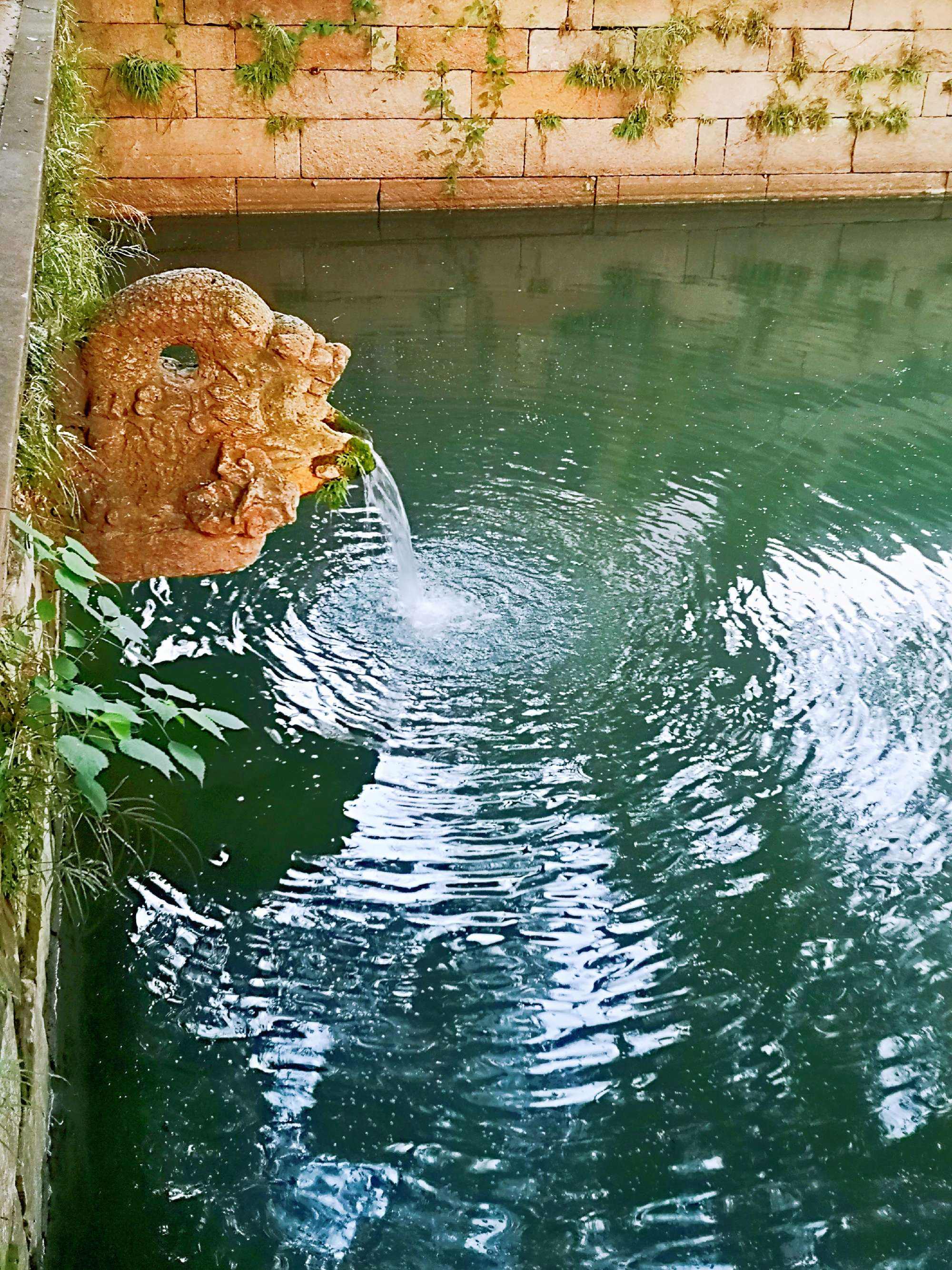 水波粼粼的意思，水波粼粼的意思是什么