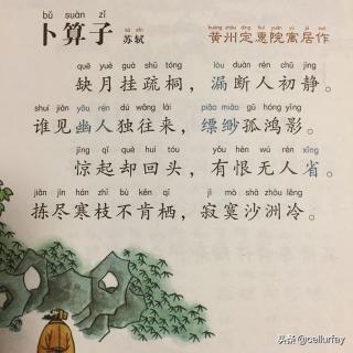 卜算子什么意思，诗词卜算子什么意思