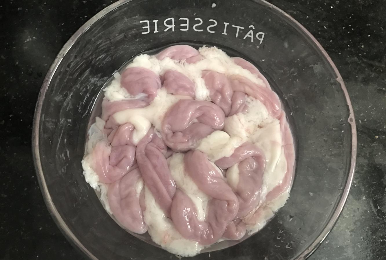 猪粉肠是哪个部位，粉肠里面的粉是不是屎