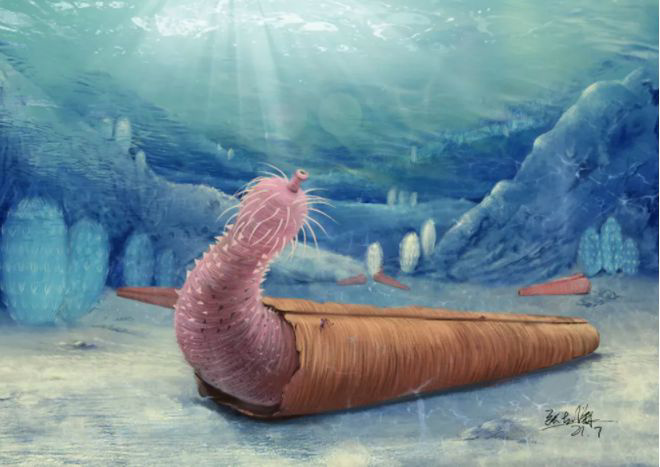 远古海洋生物，比巨齿鲨厉害的远古海洋生物