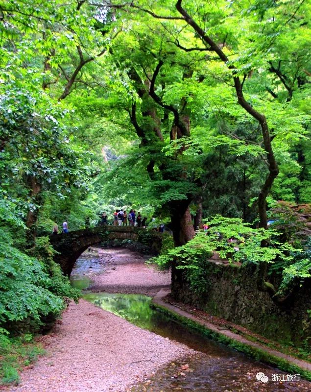 天台山国清寺，天台山国清寺需要预约吗