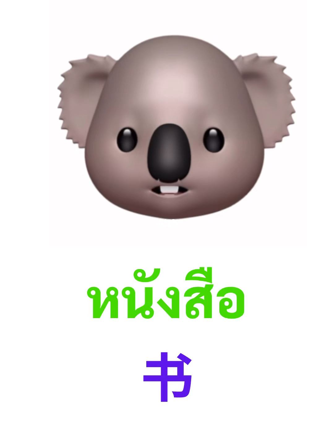 图书馆单词，图书馆单词复数