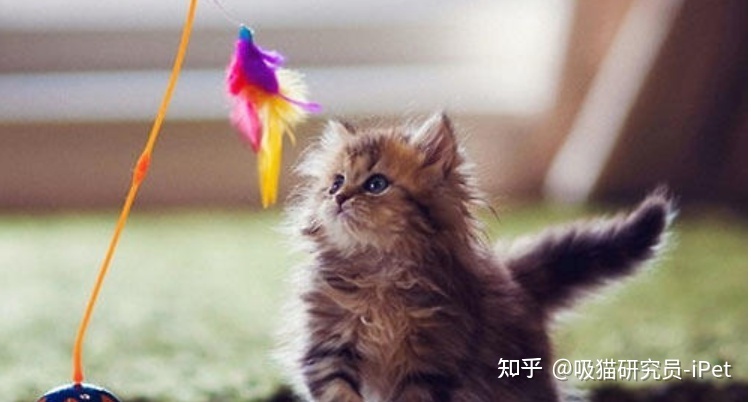 蹿怎么读，蹿怎么读音