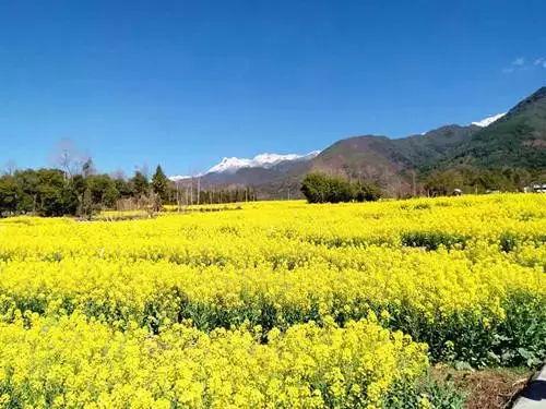 密匝匝，密匝匝可以换成什么词
